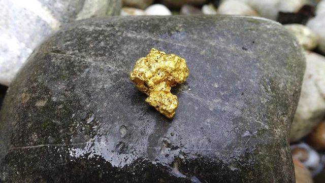 gold, gold nugget, nugget, natural gold, gold nuggets, precious, gold nugget, gold nugget, gold nugget, gold nugget, gold nugget, gold nuggets. Bullion sales channels compared: evidence and risk
