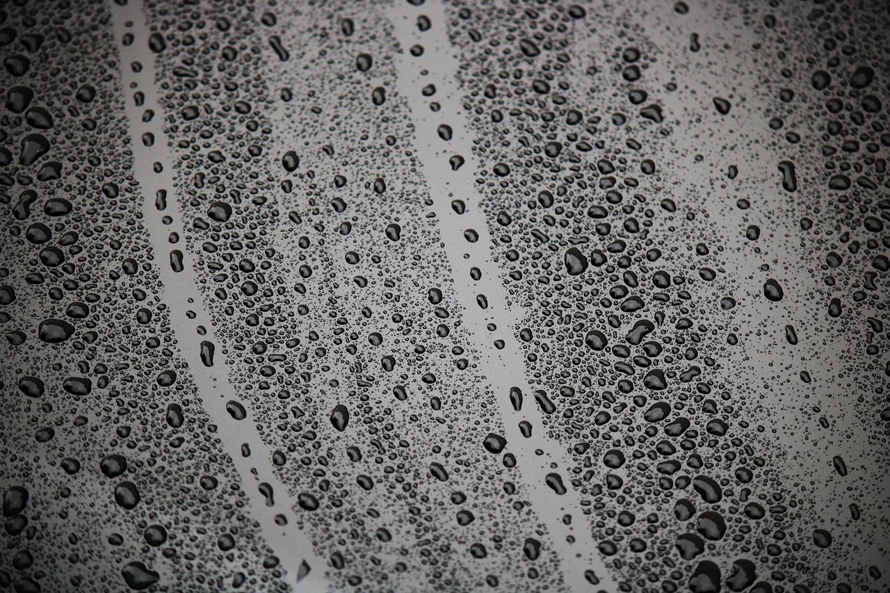 drip, wet, drop of water, rain, water, moist, glass, surface, window, nature, glass window, wet window. Lost records, water damage, theft, and bullion access problems