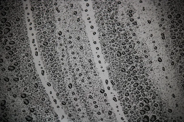 drip, wet, drop of water, rain, water, moist, glass, surface, window, nature, glass window, wet window. Lost records, water damage, theft, and bullion access problems