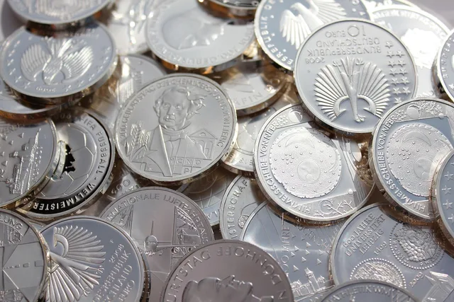silver, silver coins, coins, coin, finance, metal, money, currency, euro, investment, 10 euro, silver, silver coins, silver coins, silver coins, silver coins, silver coins. Palladium liquidity case: a fictional coin, bar and exits