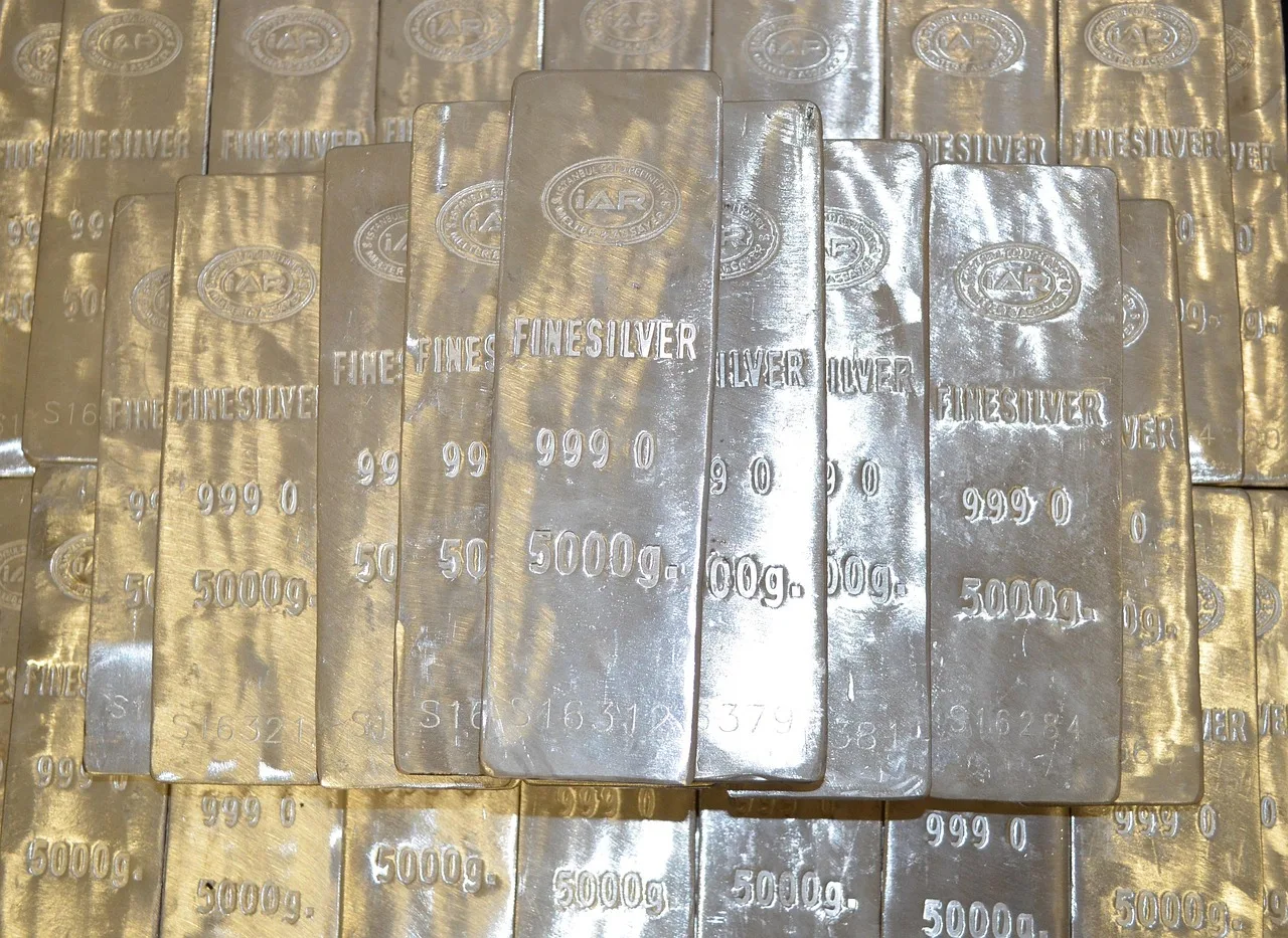 silver, bars, 5000 grams, real value, crisis preparedness, crisis, silver bars, precious, metal, precious metal, shine, pension, economic crisis, fine silver, silver, silver bars, silver bars, silver bars, silver bars, silver bars. How to receive, inventory, and store silver bullion